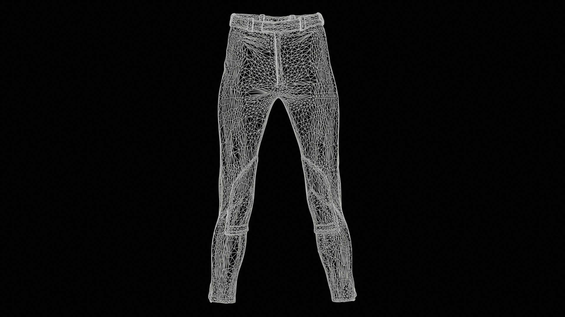 Train Trousers Low-poly 3D model_11