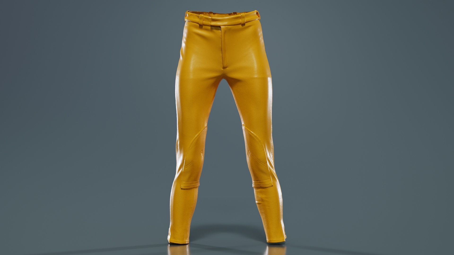 Train Trousers Low-poly 3D model_12