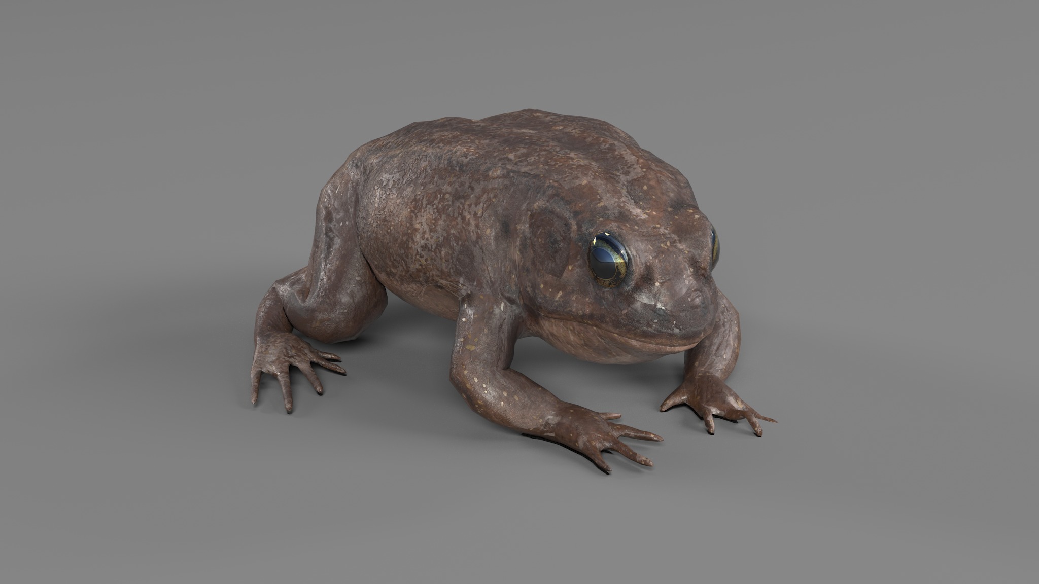 PHOTOREALISTIC GREEN FROG 3D model_86