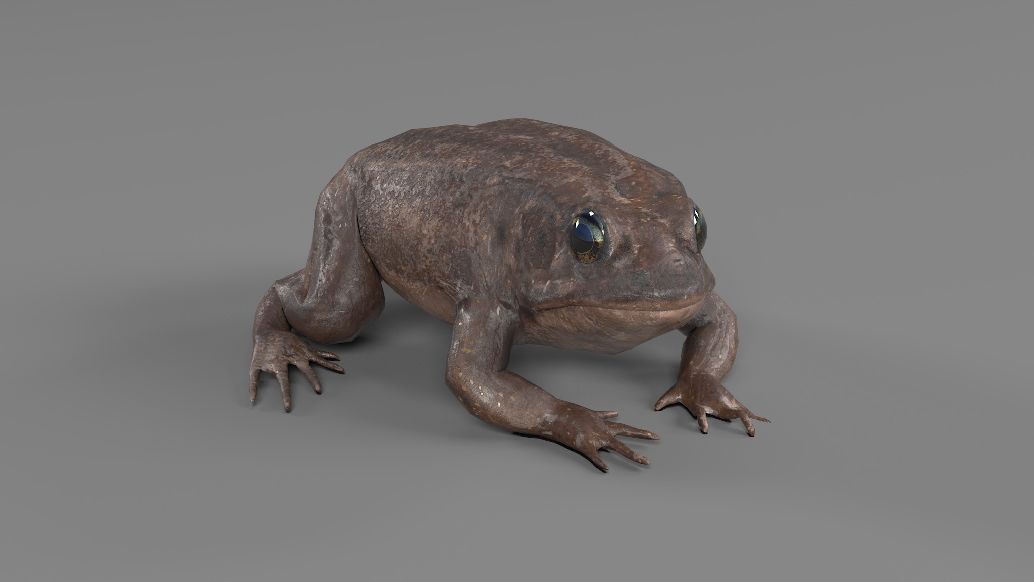 PHOTOREALISTIC GREEN FROG 3D model_59
