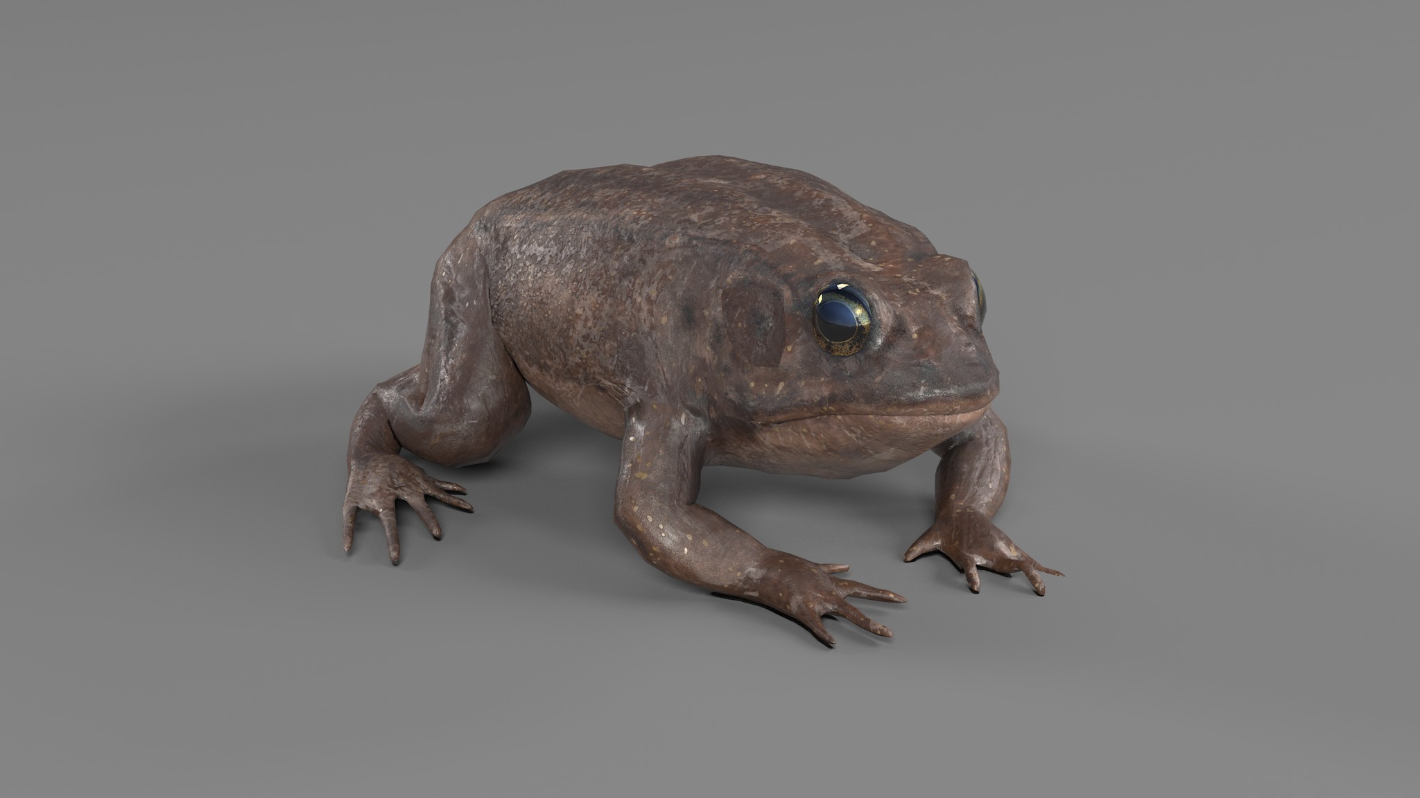 PHOTOREALISTIC GREEN FROG 3D model_54