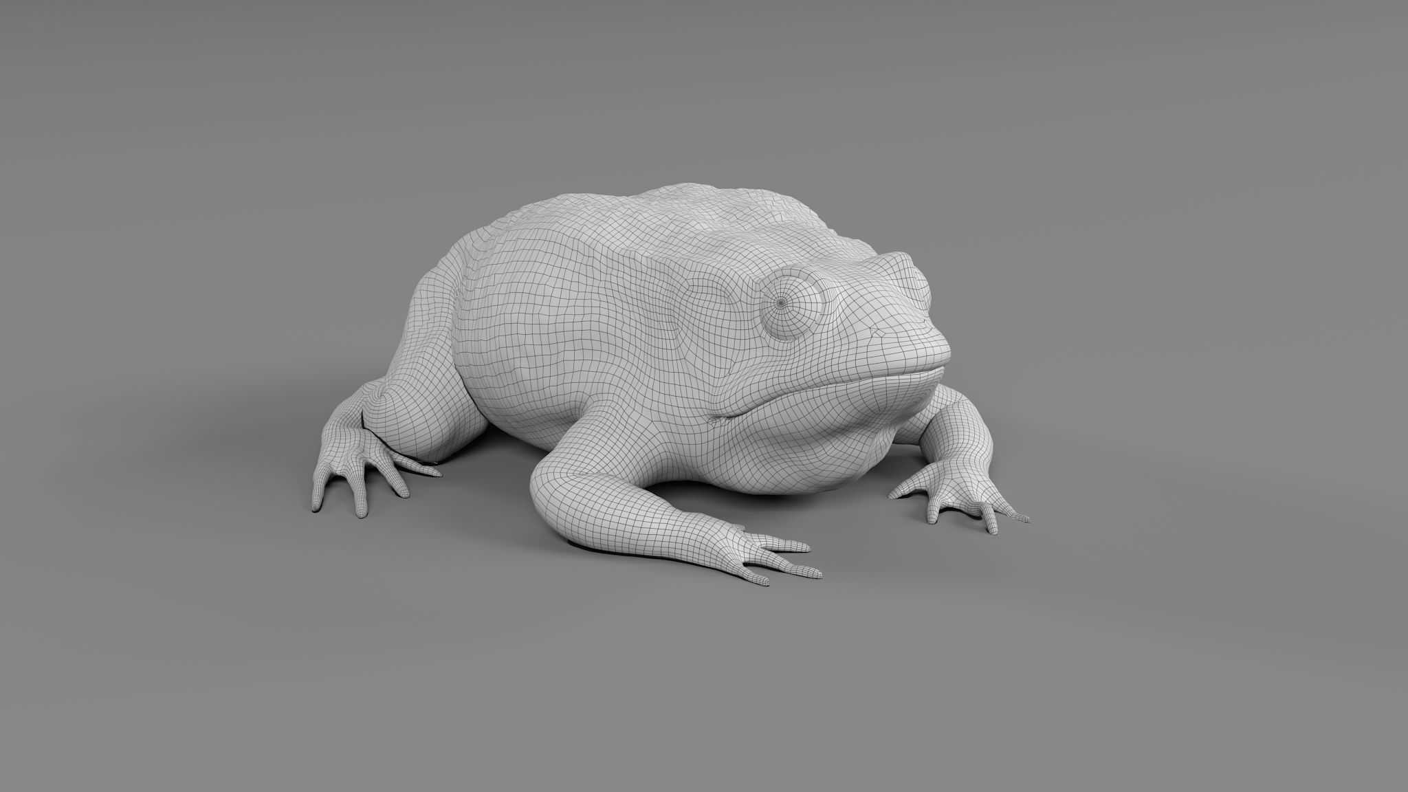 PHOTOREALISTIC GREEN FROG 3D model_3