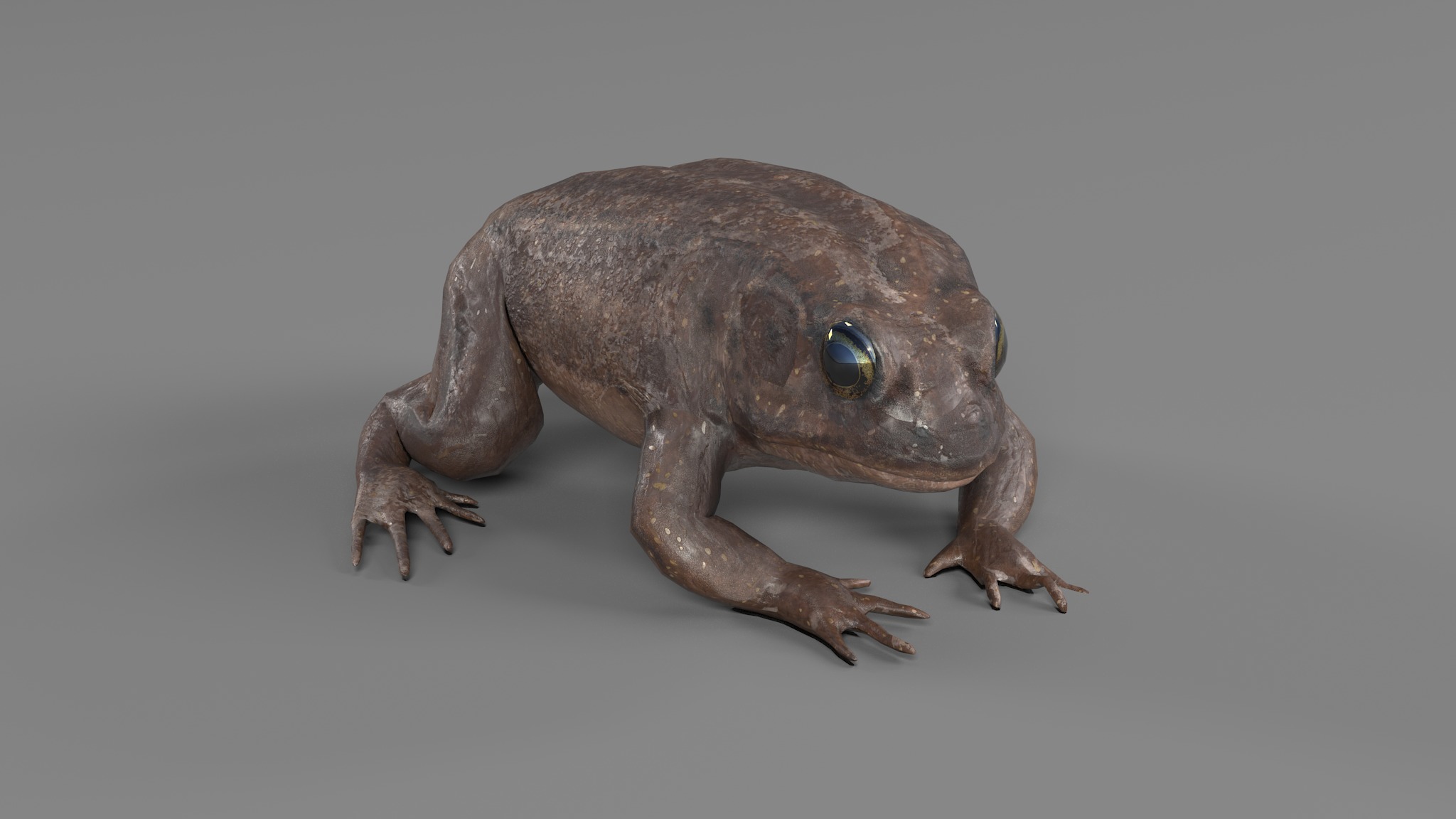 PHOTOREALISTIC GREEN FROG 3D model_40