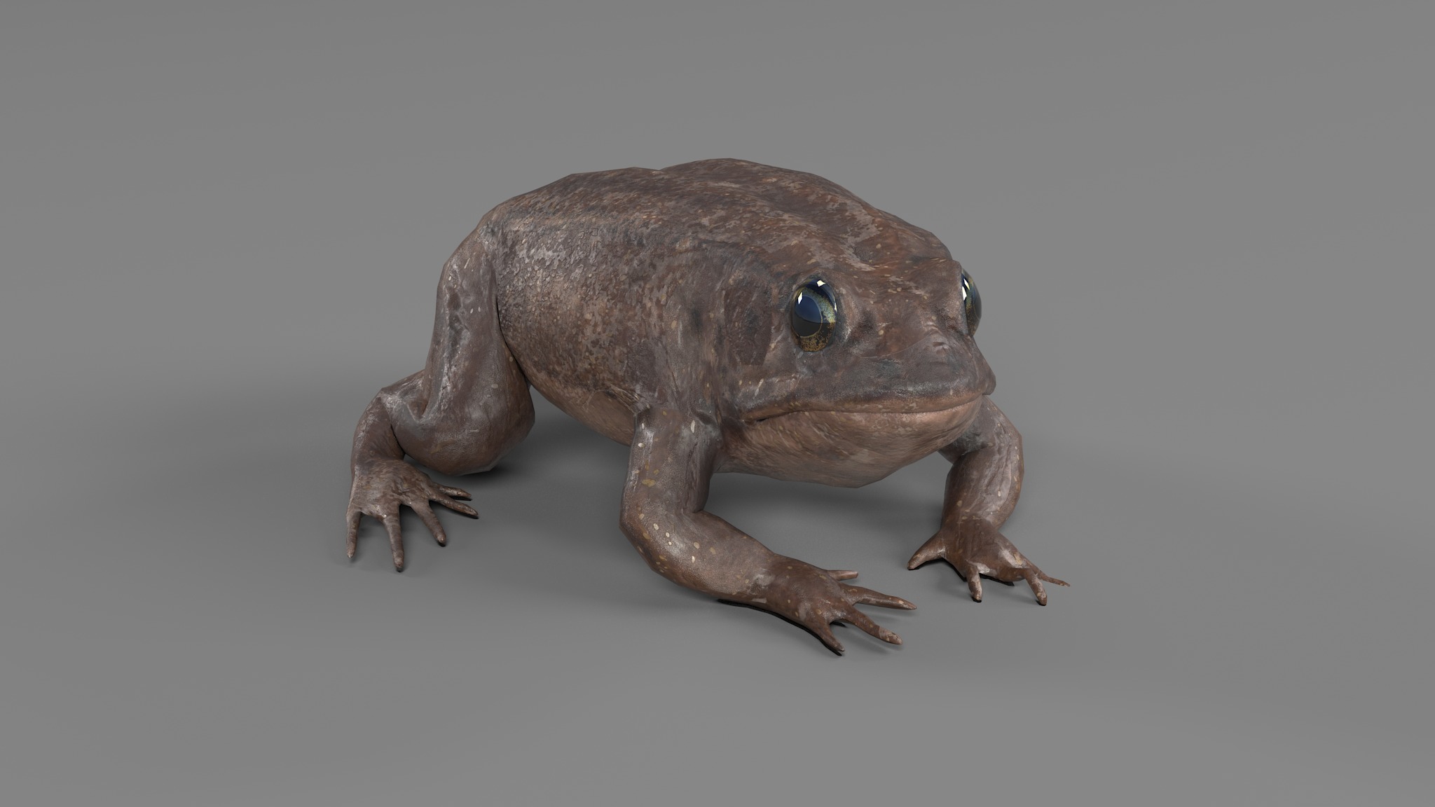 PHOTOREALISTIC GREEN FROG 3D model_43