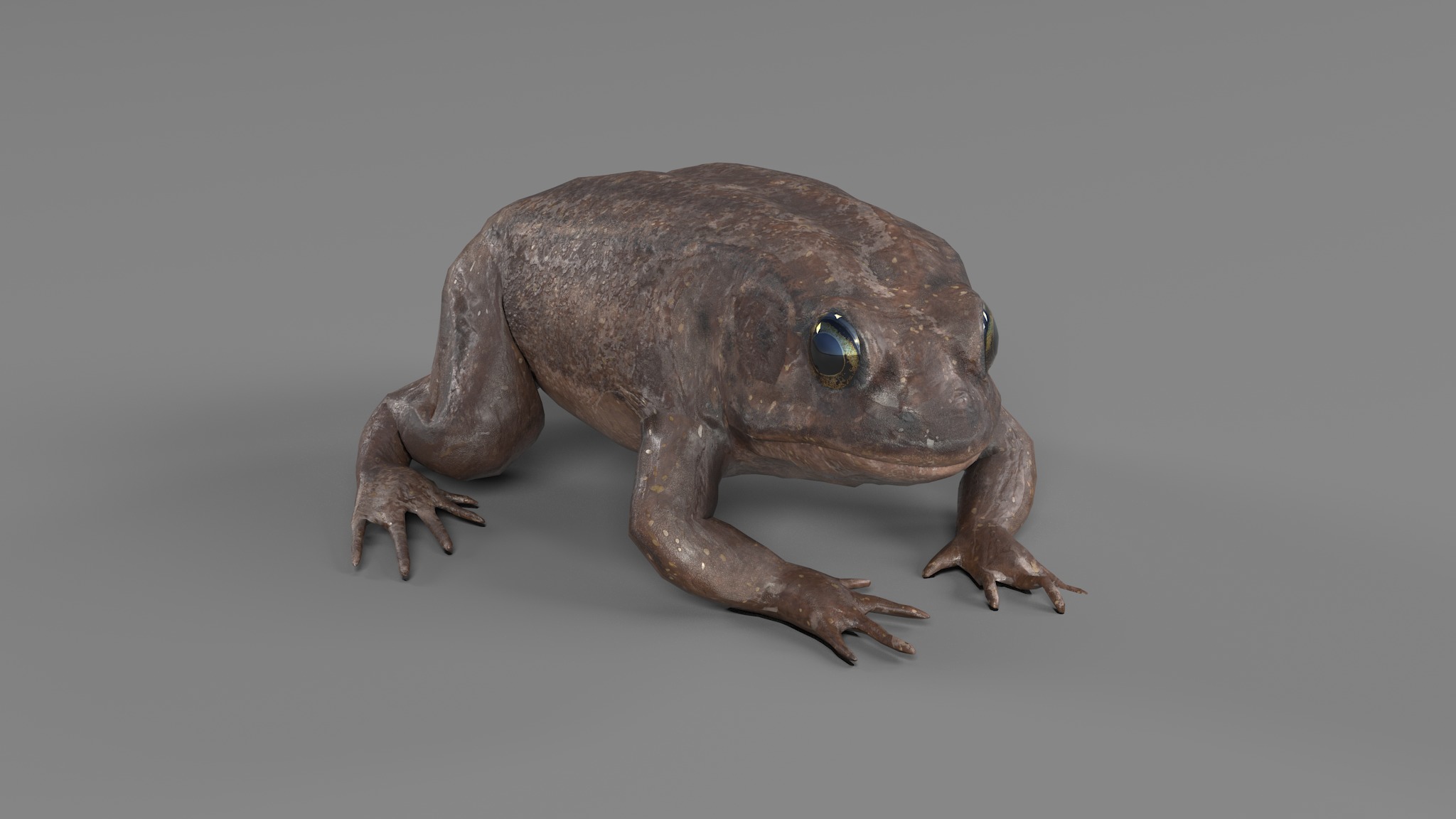 PHOTOREALISTIC GREEN FROG 3D model_67