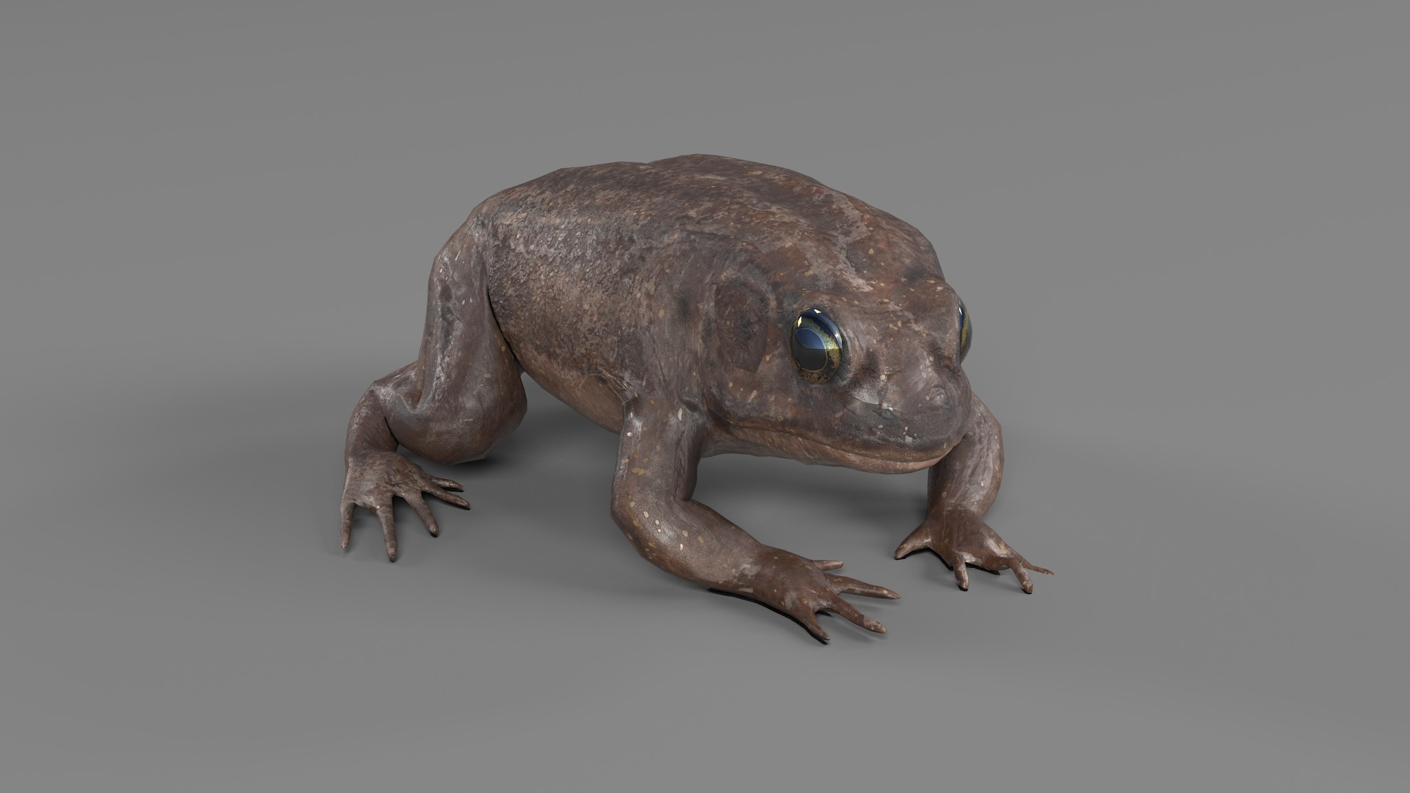 PHOTOREALISTIC GREEN FROG 3D model_47
