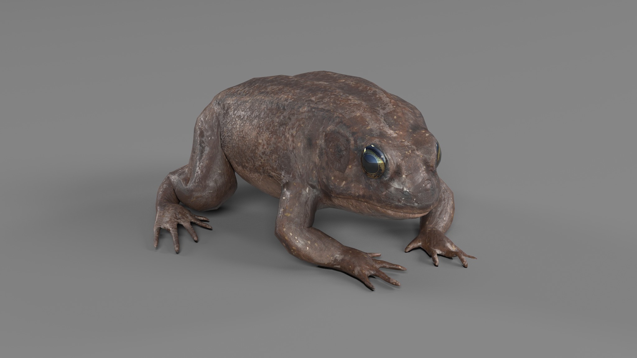 PHOTOREALISTIC GREEN FROG 3D model_51