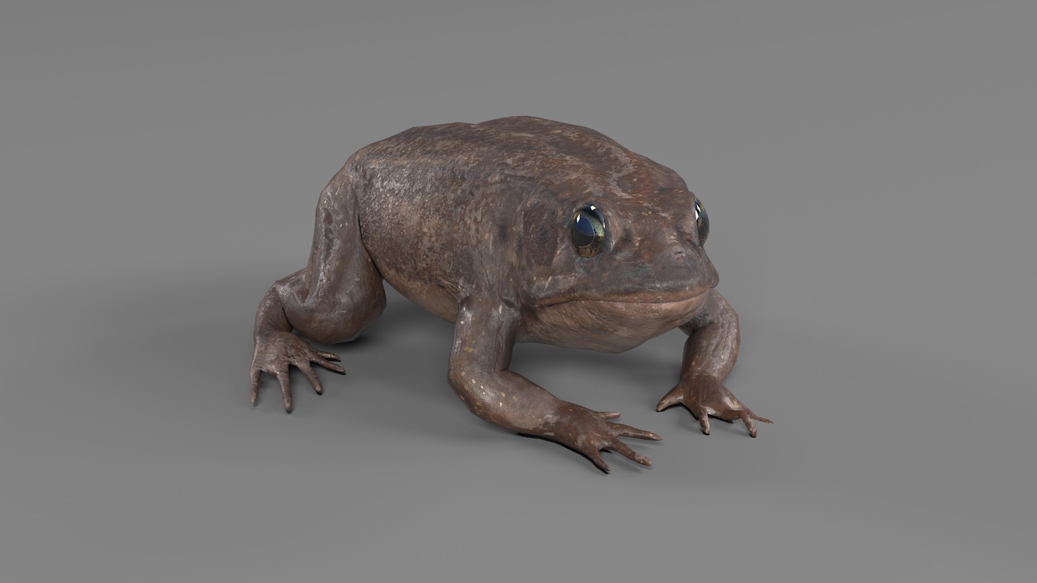 PHOTOREALISTIC GREEN FROG 3D model_42