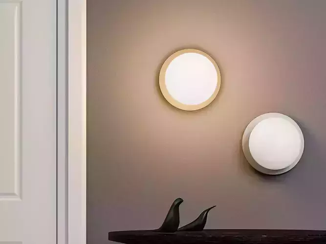 Liila 1 L Wall and Ceiling Light