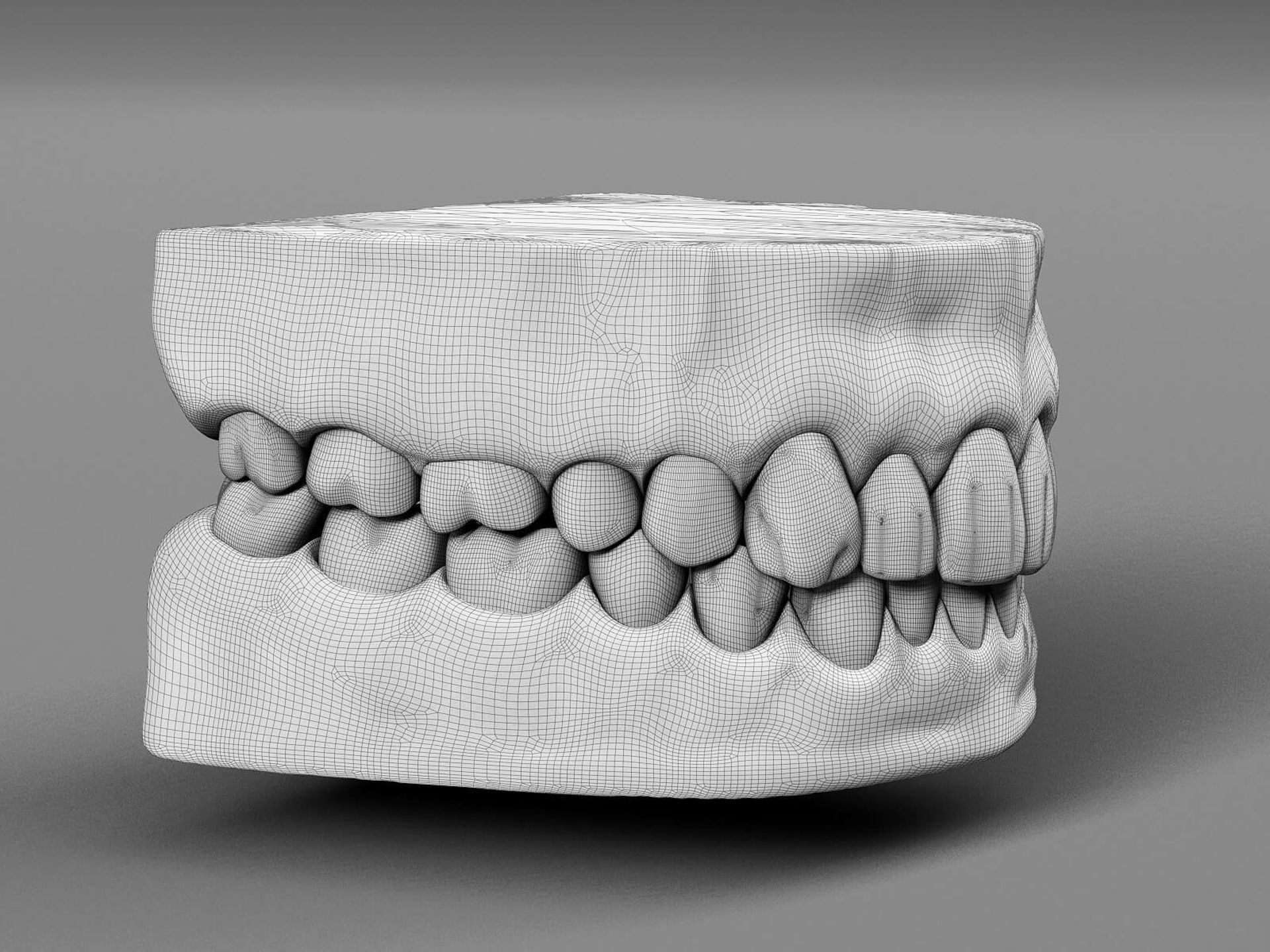 Human teeth 3D model_11