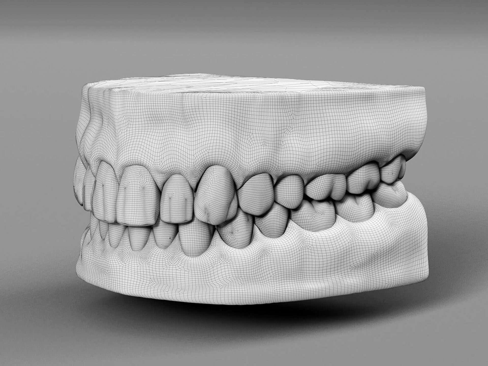 Human teeth 3D model_10