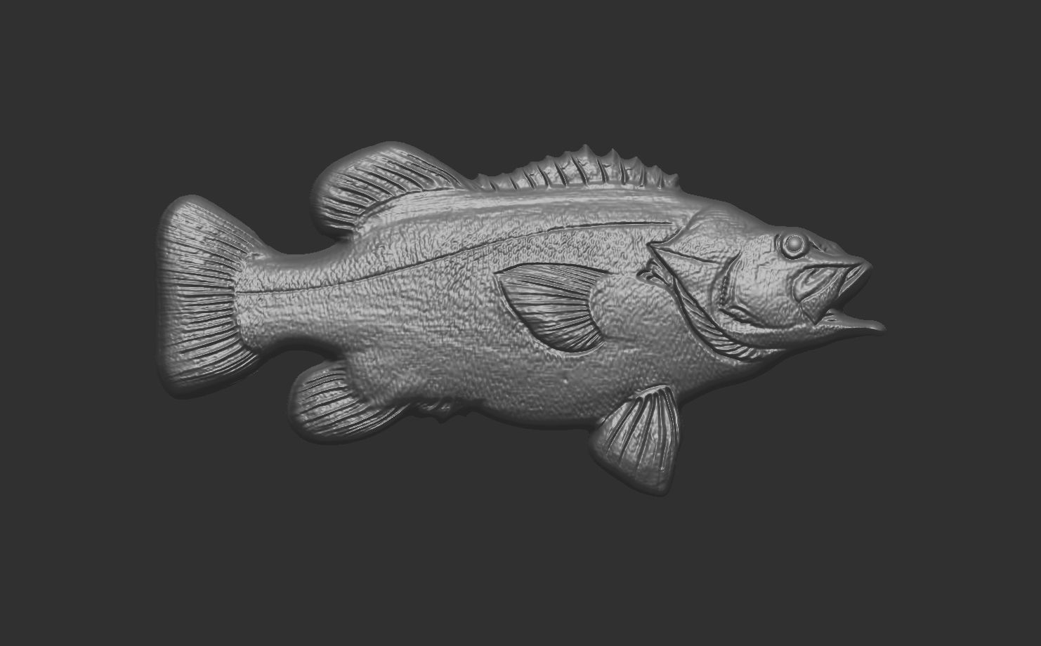 wreckfishes 3dmodel for 3dprinting 3D print model_5