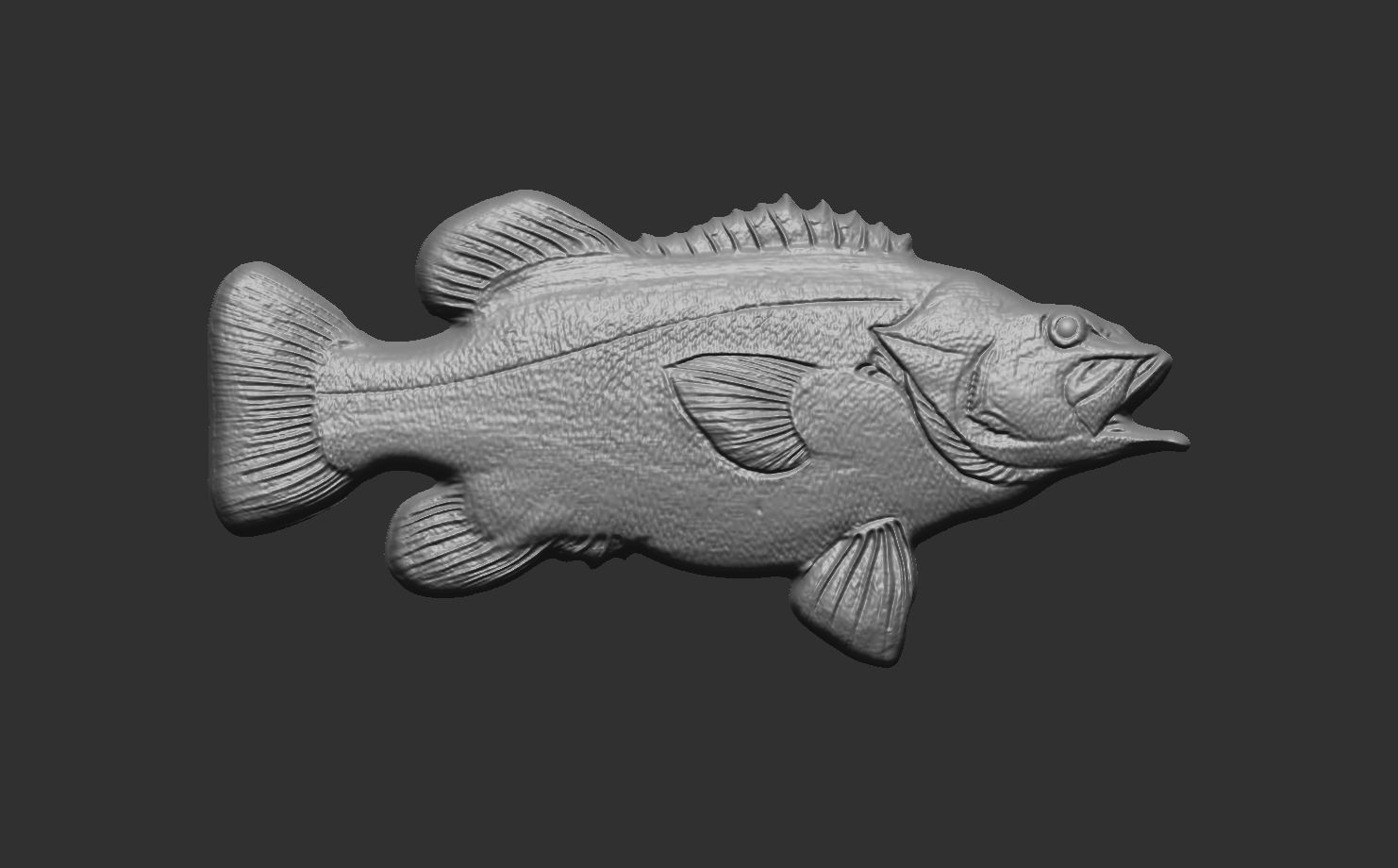 wreckfishes 3dmodel for 3dprinting 3D print model_10