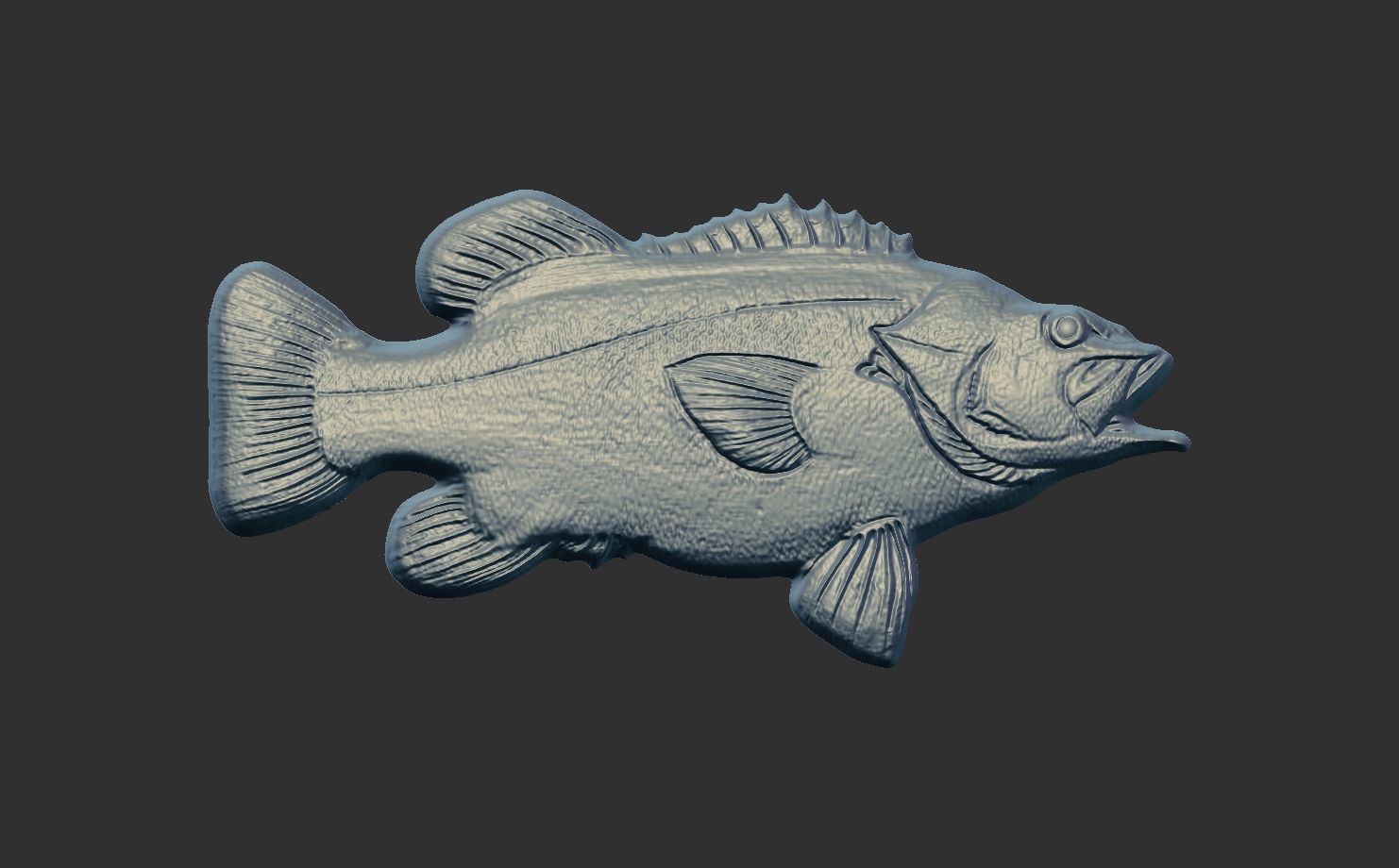wreckfishes 3dmodel for 3dprinting 3D print model_6