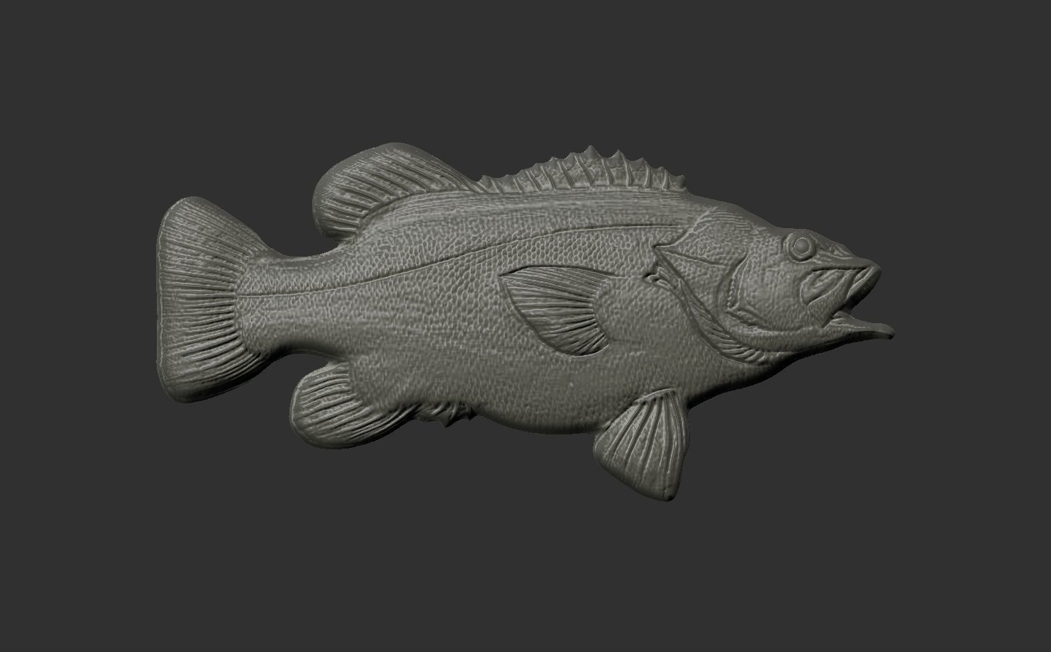 wreckfishes 3dmodel for 3dprinting 3D print model_4