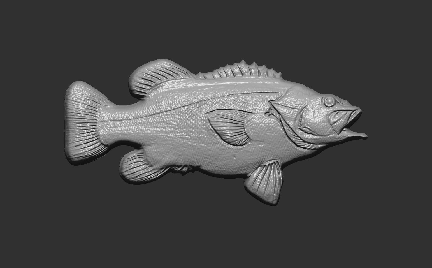 wreckfishes 3dmodel for 3dprinting 3D print model_9