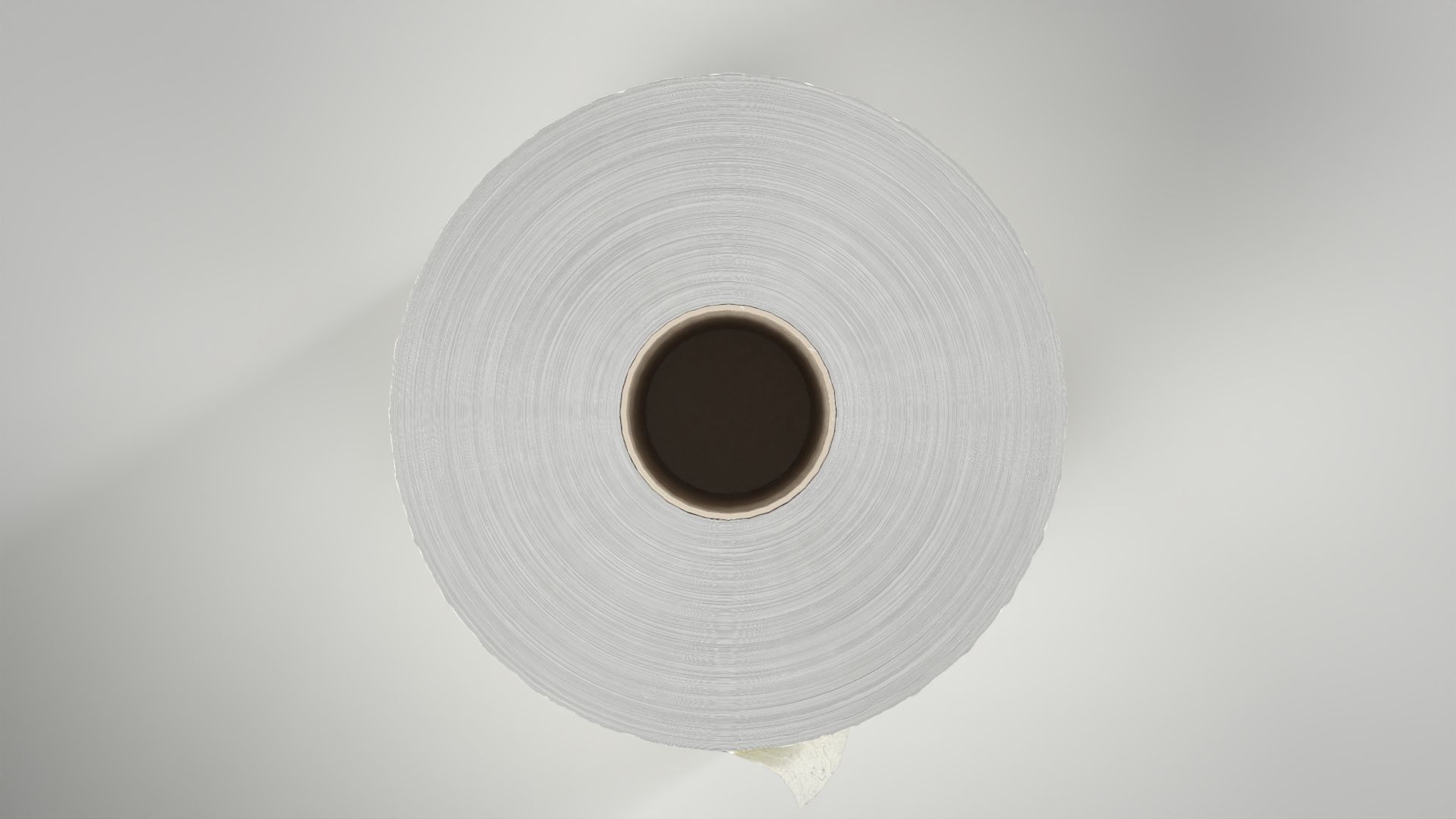 Toilet Roll Low-poly 3D model_3