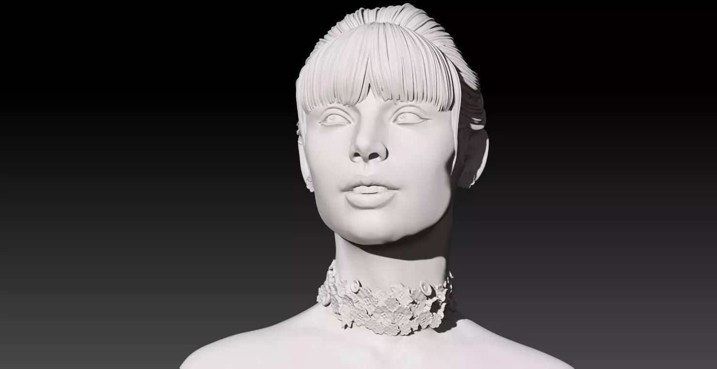 Taylor Swift - Bust 3D print model