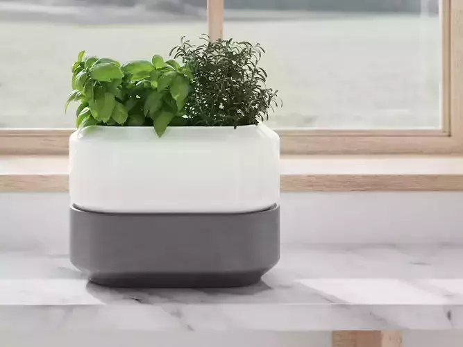 Chefn Large Herb Planter Box