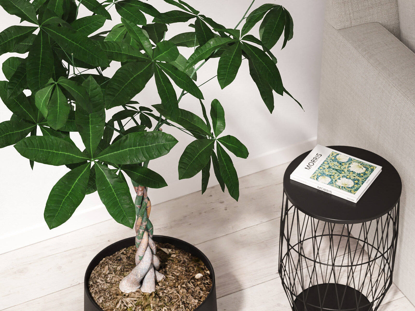 Pachira Money Tree in Iron Planter 3D model_2