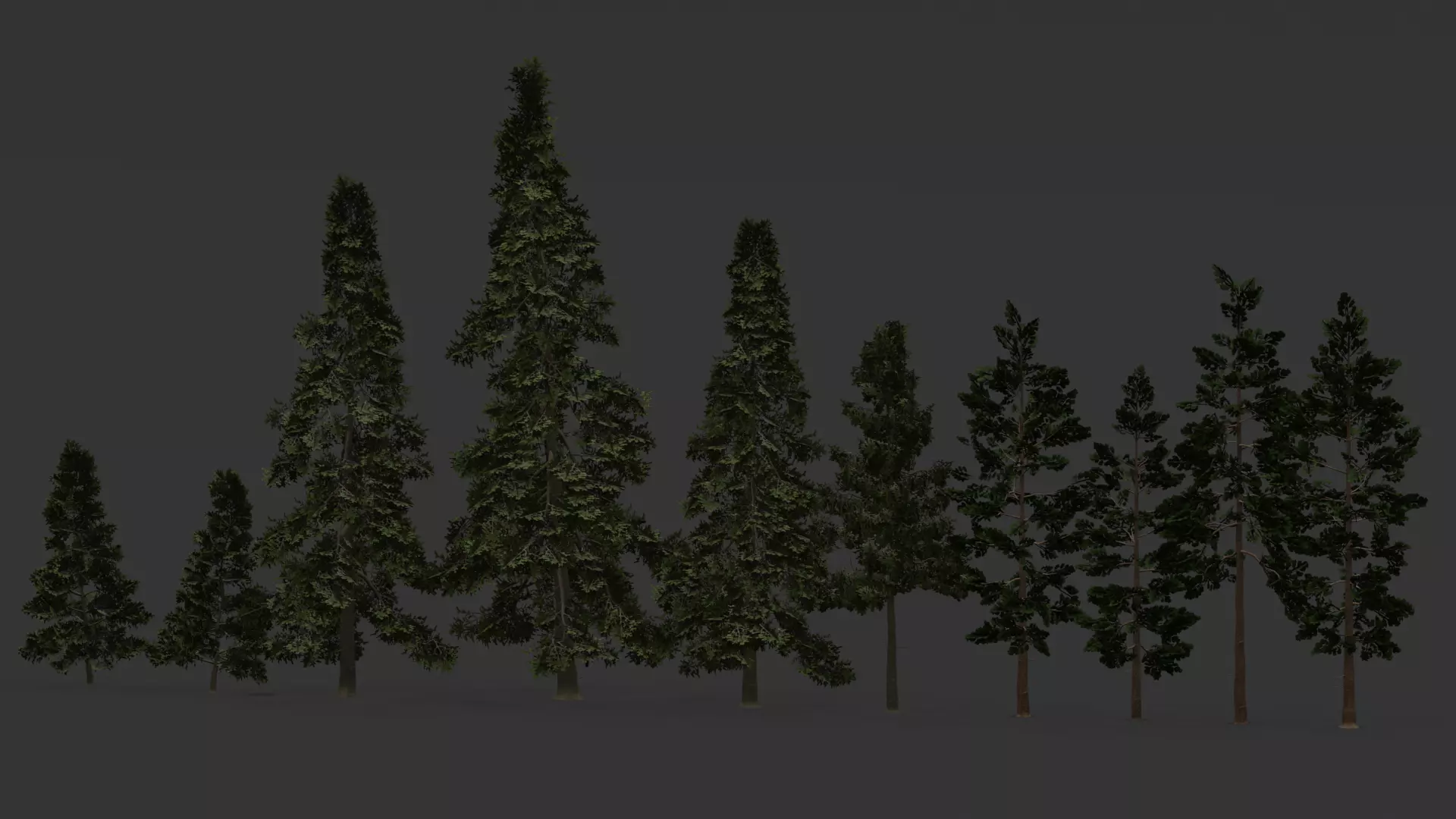 ROBLOX Realistic Spruce Tree Forest Pack 01 Low-poly 3D model_2
