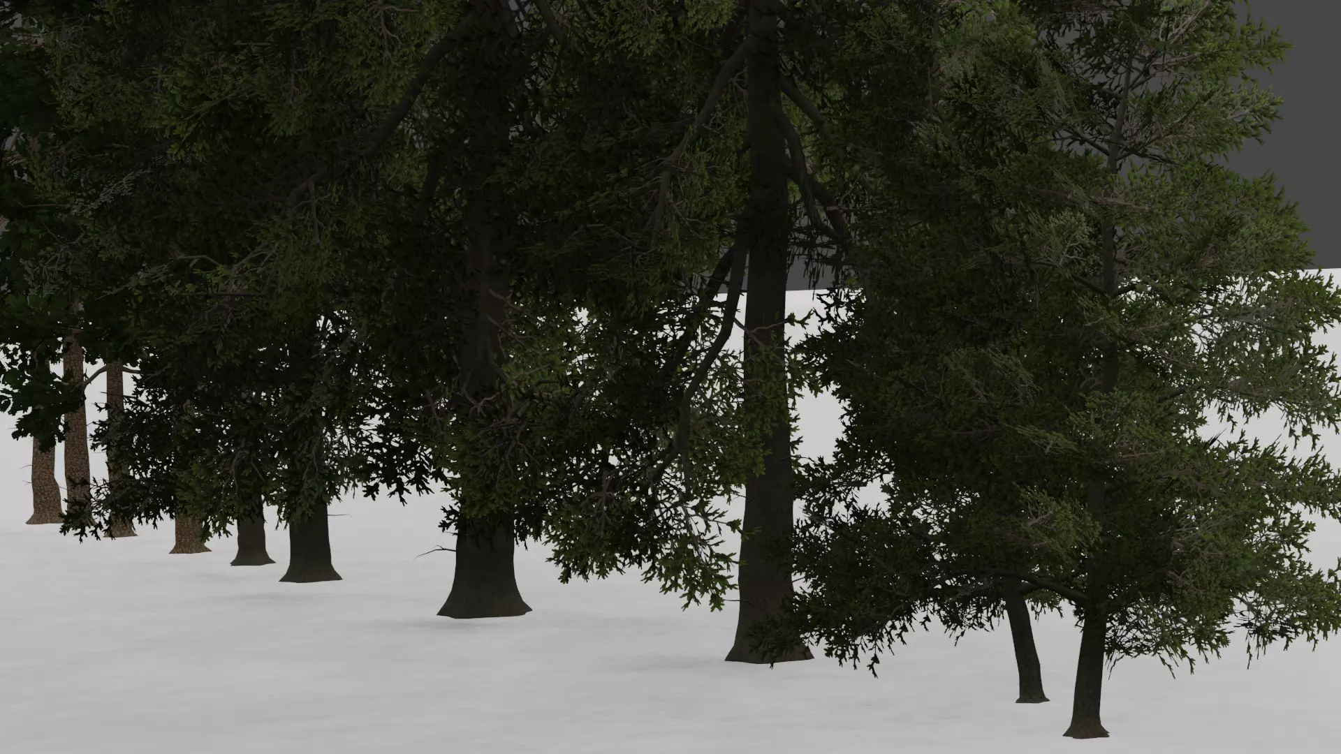 ROBLOX Realistic Spruce Tree Forest Pack 01 Low-poly 3D model_3