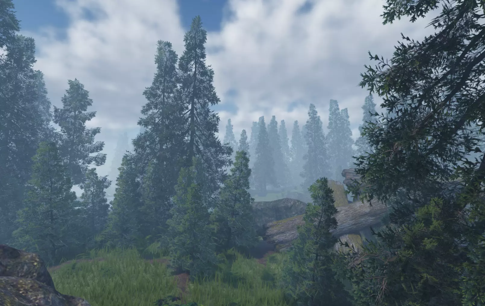 ROBLOX Realistic Spruce Tree Forest Pack 01 Low-poly 3D model_1