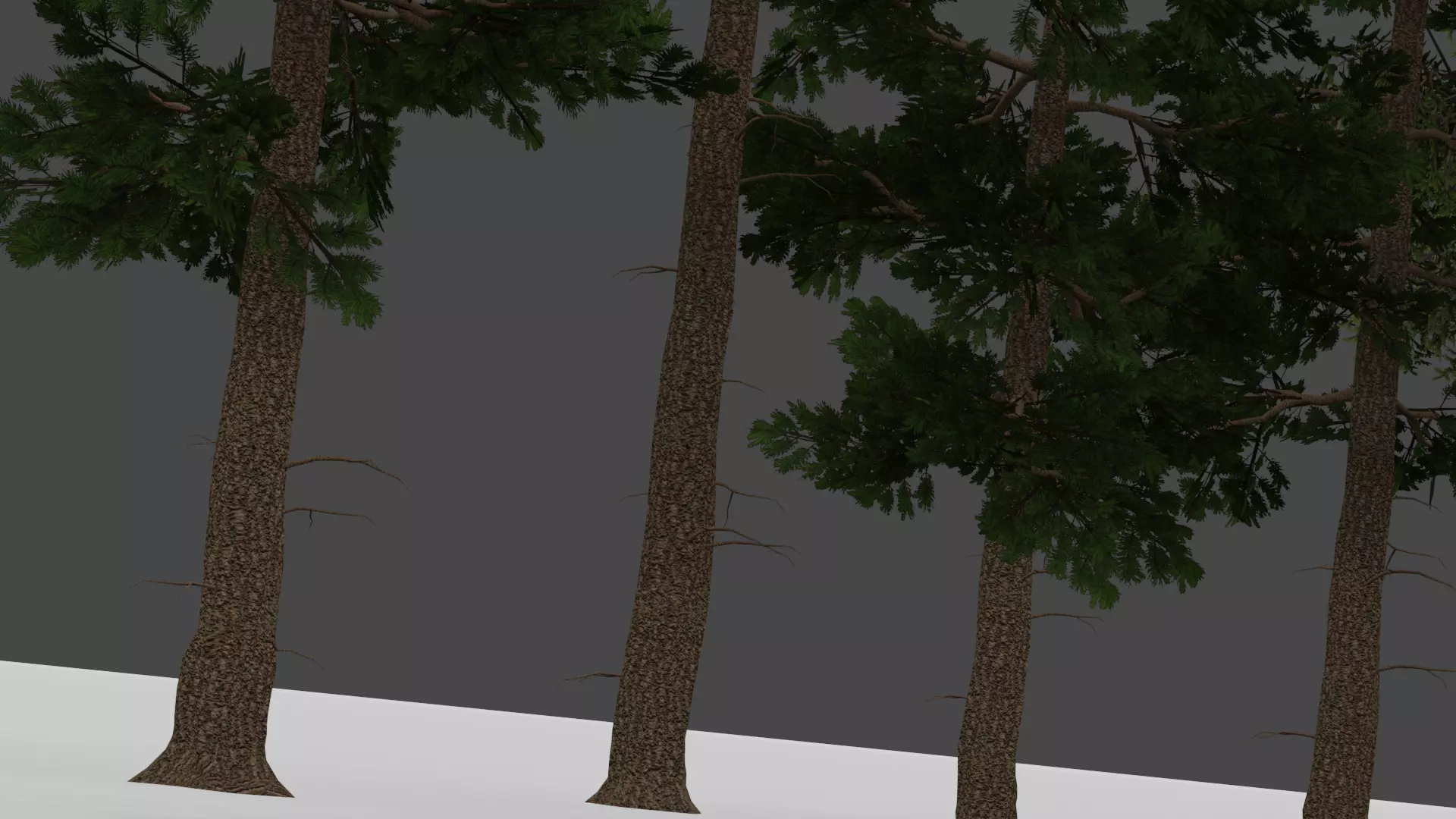 ROBLOX Realistic Spruce Tree Forest Pack 01 Low-poly 3D model_4