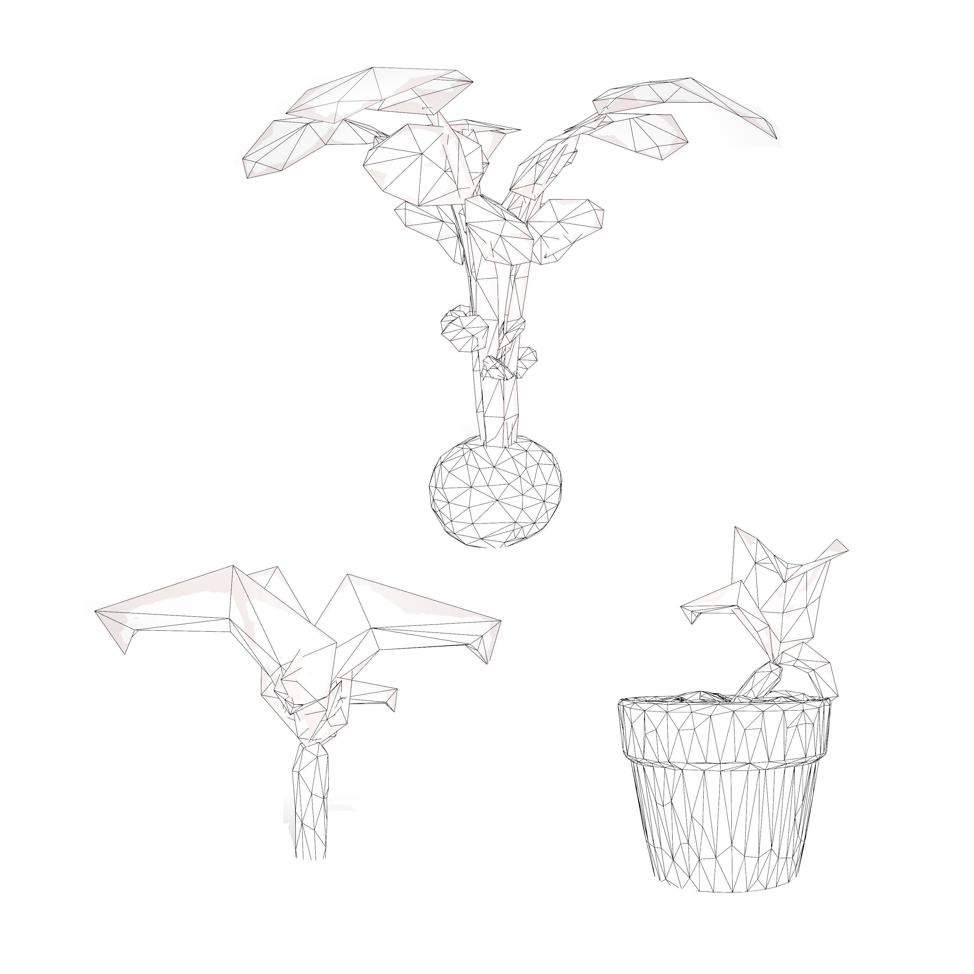 Radish Plant Collection Low-poly 3D model_7