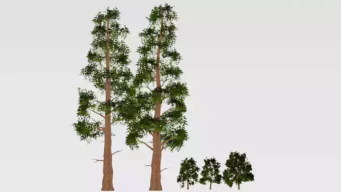 ROBLOX Realistic Sequoia Tree Forest Pack 02 Low-poly 3D model