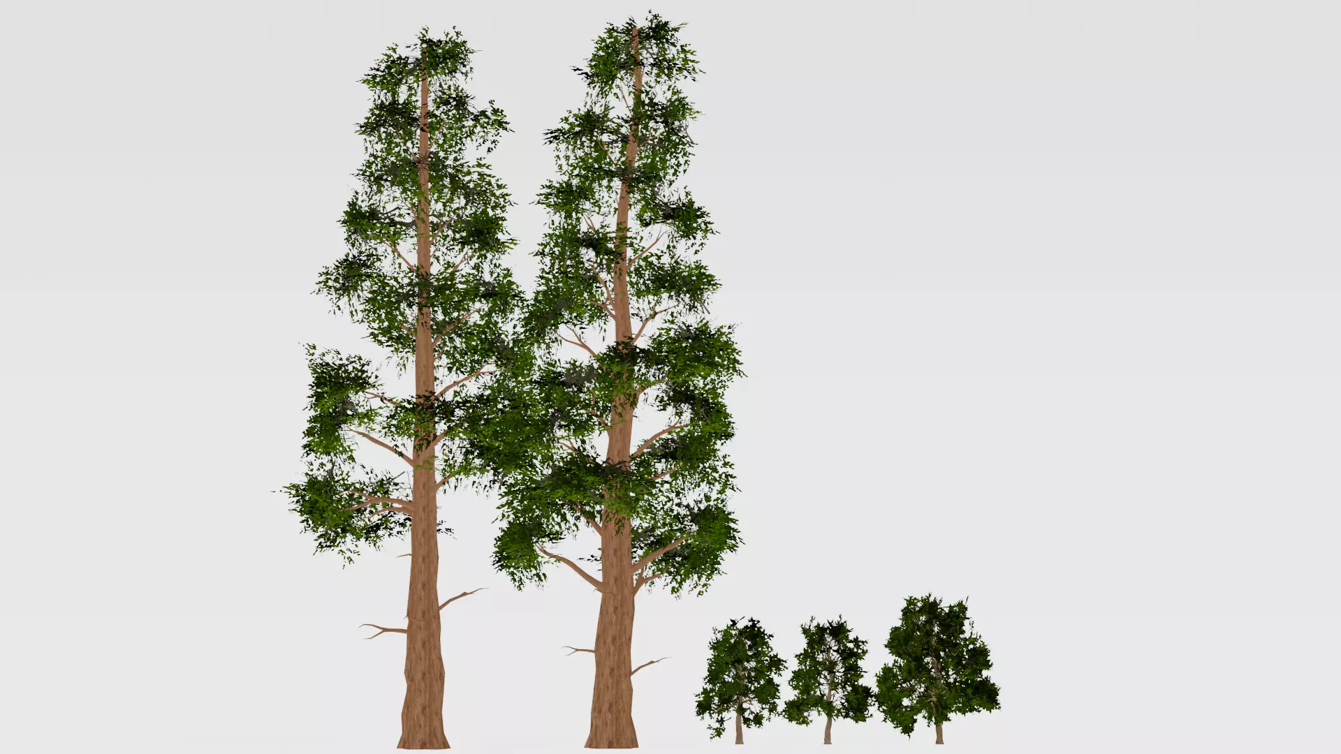 ROBLOX Realistic Sequoia Tree Forest Pack 02 Low-poly 3D model_0