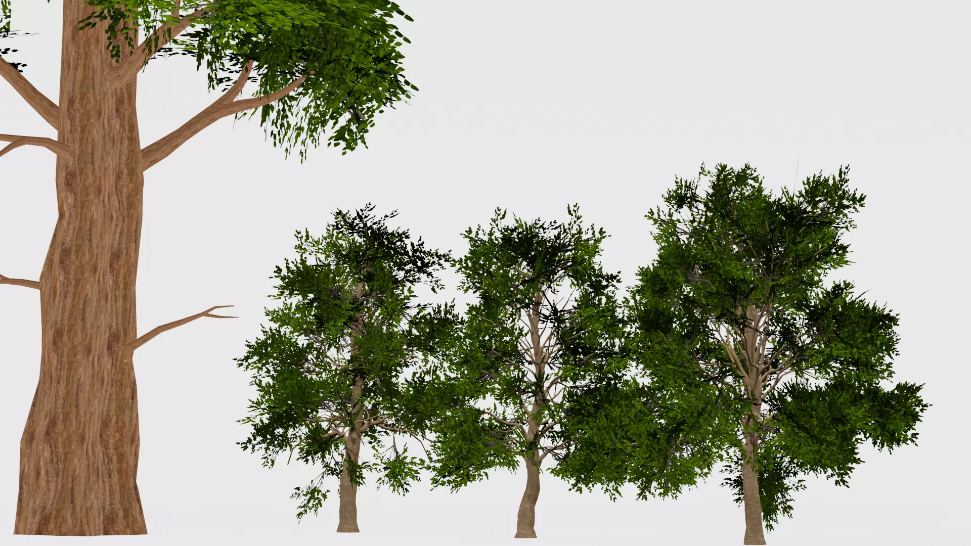 ROBLOX Realistic Sequoia Tree Forest Pack 02 Low-poly 3D model_1