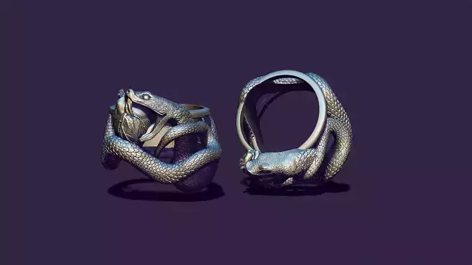 The silver ring is a snake biting the heart