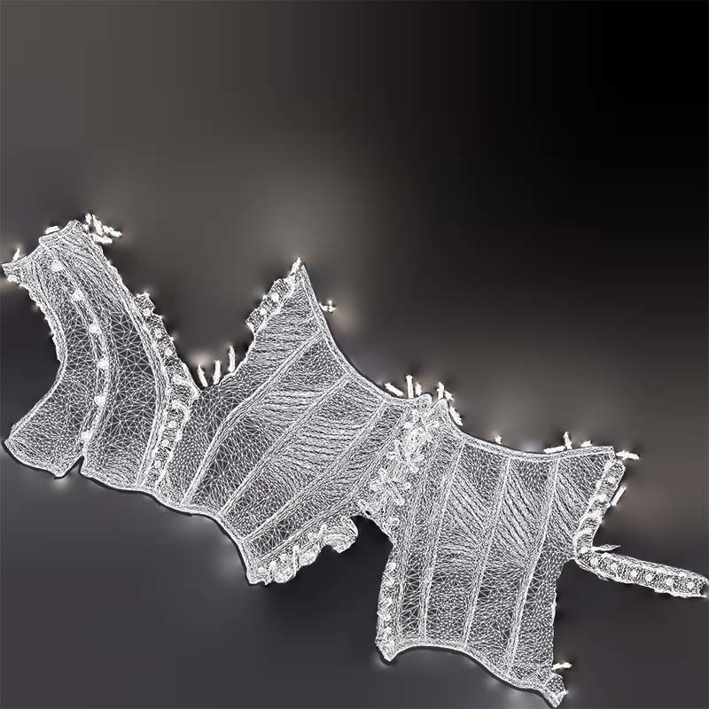 Ringed Corset Low-poly 3D model_14