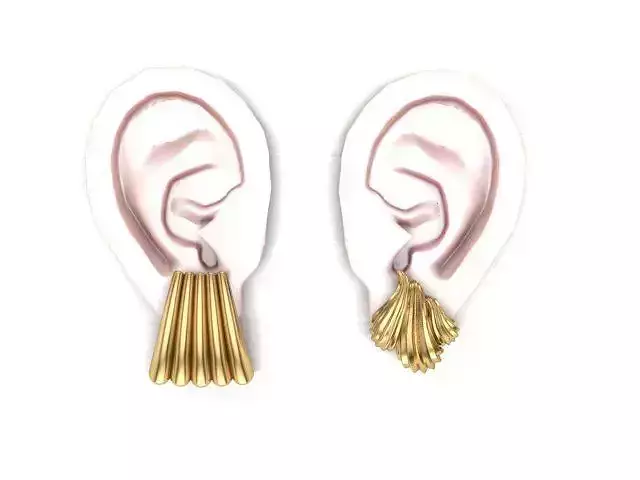 Earrings Brincos