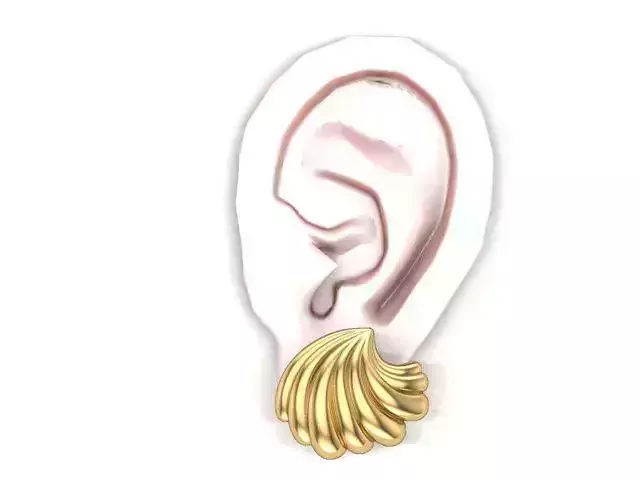 Shell Earring 3D print model