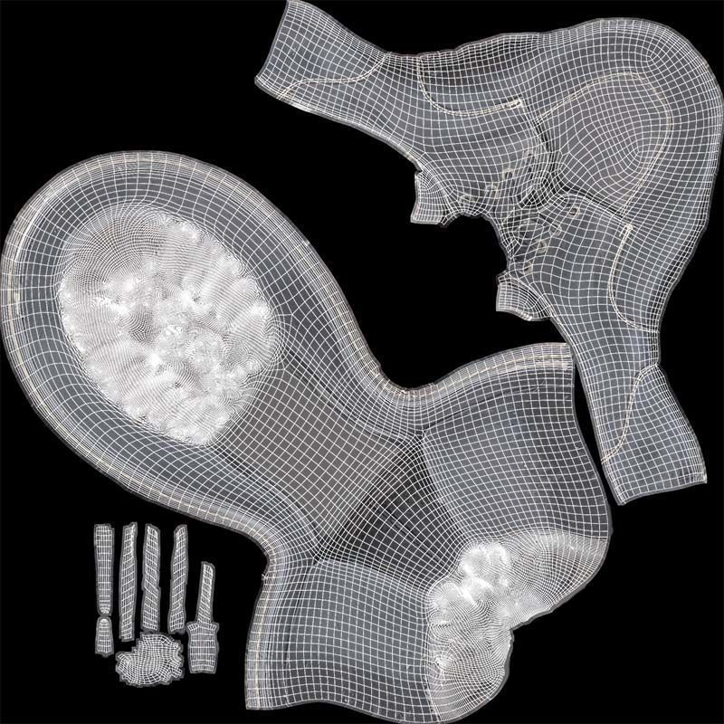 Bigfoot Boots Low-poly 3D model_14