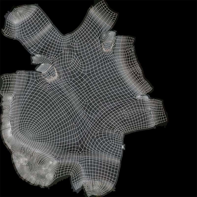 Black Leather Shoe Low-poly 3D model_14