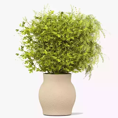 plant placed in an elegant vase
