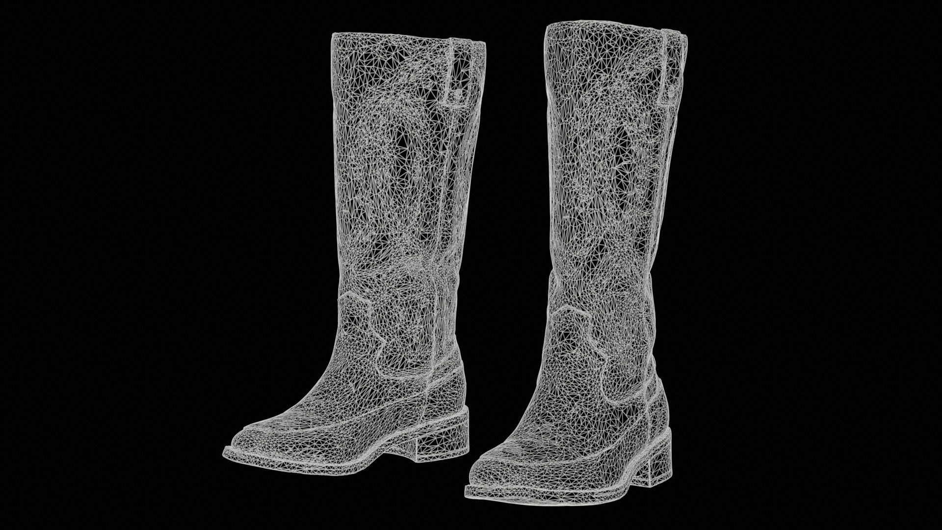 Shiny Detailed Boots Low-poly 3D model_11