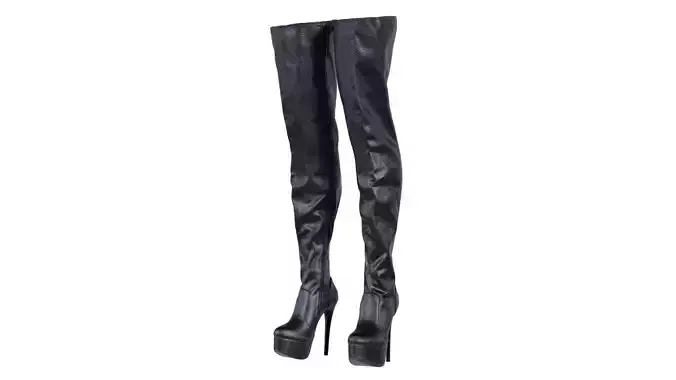 Tighhigh Zipper Boots