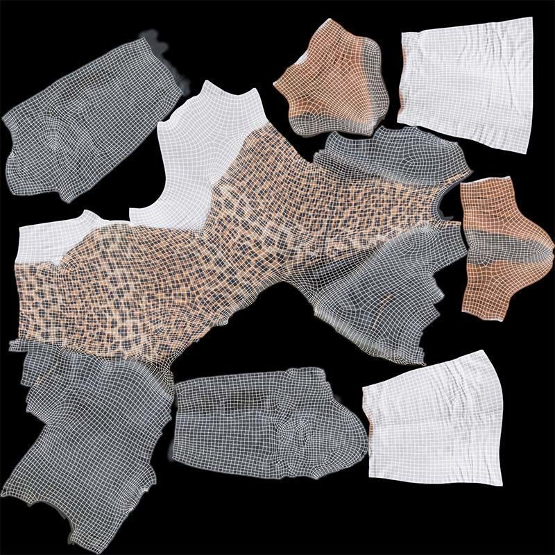 Casual Tiger Outfit Low-poly 3D model_14