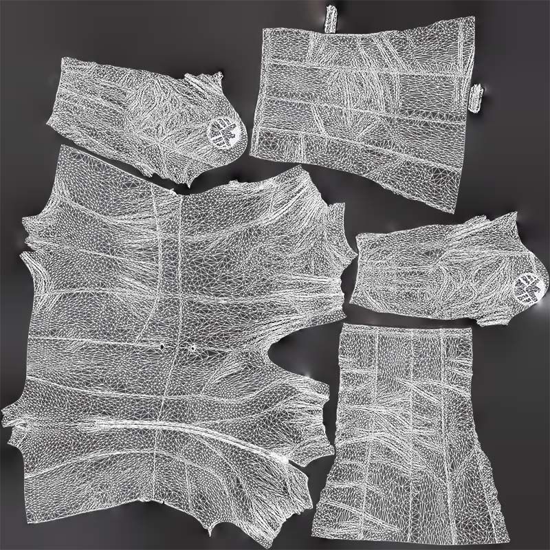 Eagle Catsuit Low-poly 3D model_14