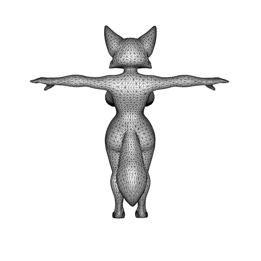 Lyra the Enchanting Fox 3D model_11