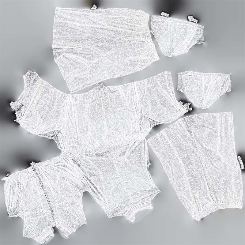 Space Catsuit Low-poly 3D model_14