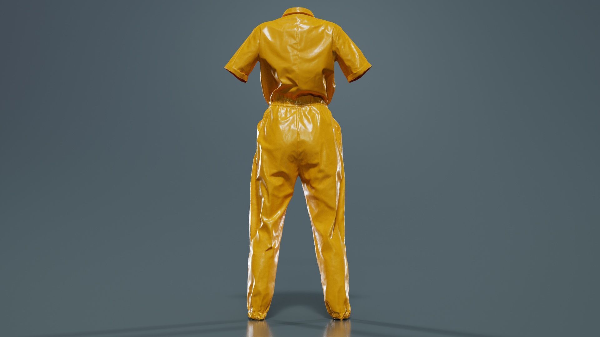 Space Catsuit Low-poly 3D model_13