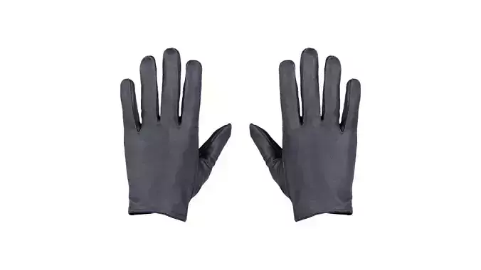 Button Gloves Low-poly 3D model
