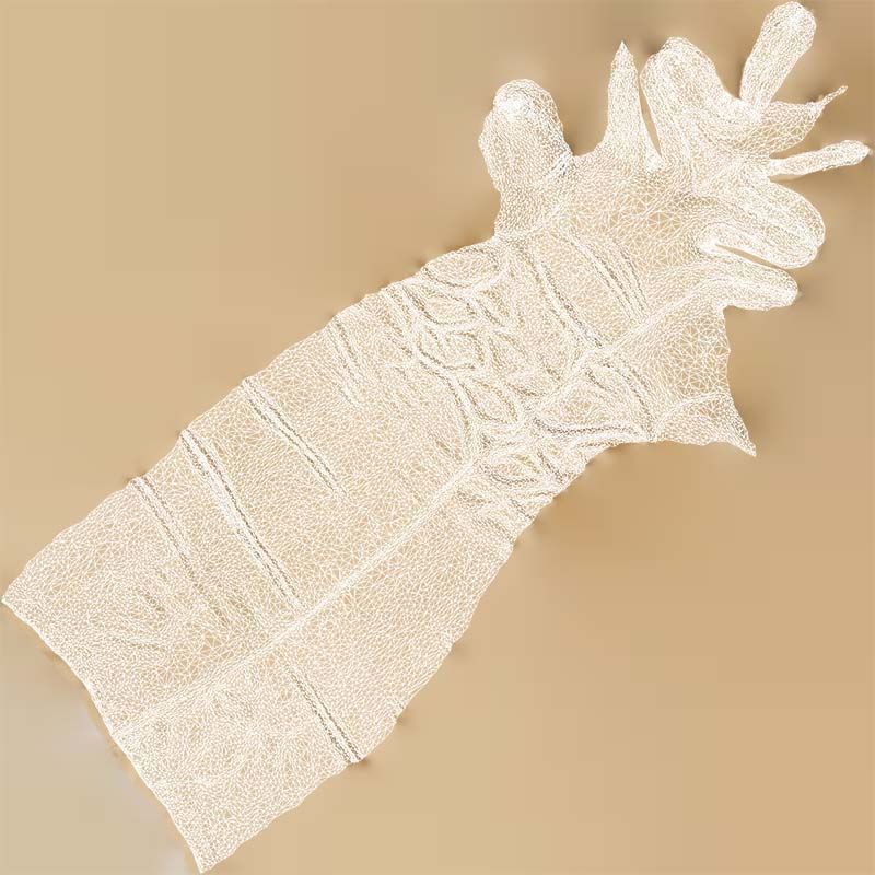 Diva Gloves Wrinkles Low-poly 3D model_14
