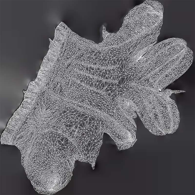 Fringe Gloves Low-poly 3D model_14