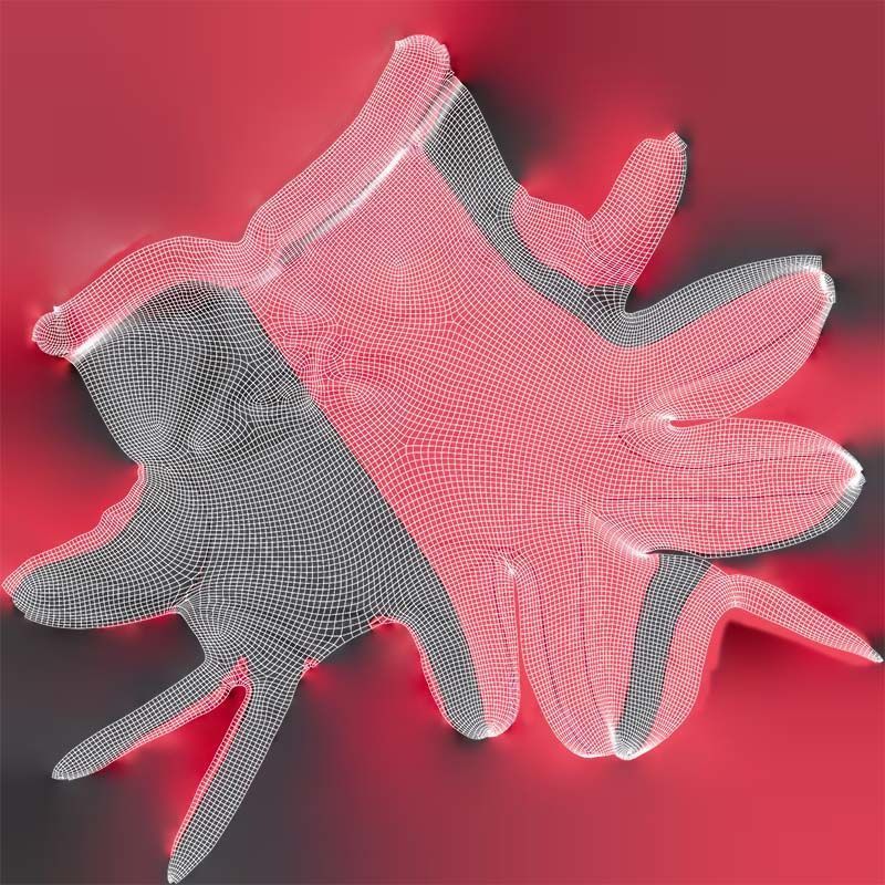 Two Tone Glove Low-poly 3D model_14